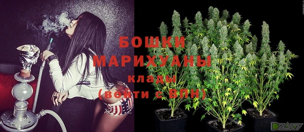 крисы Абдулино