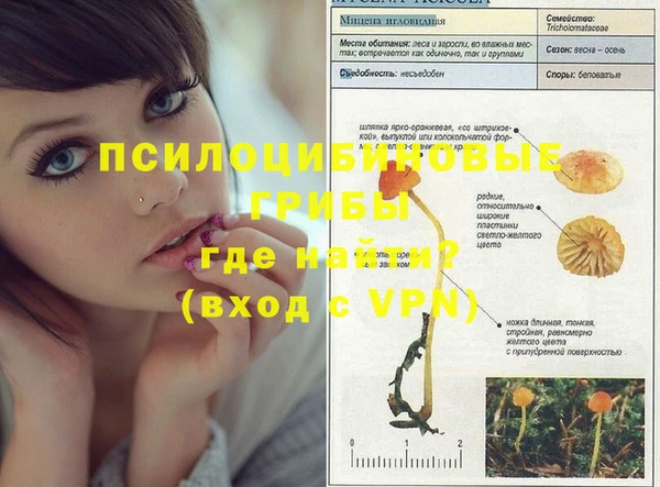 jwh Снежинск