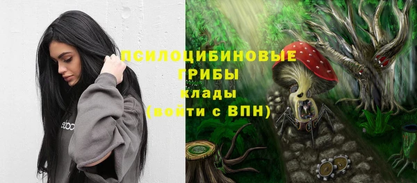 ПСИЛОЦИБИНОВЫЕ ГРИБЫ Алзамай