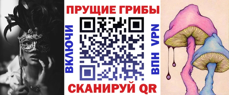Галлюциногенные грибы Cubensis  Адыгейск 
